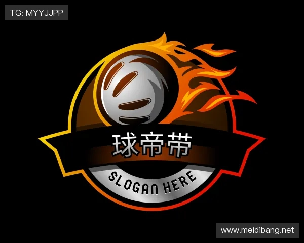 介绍球帝带